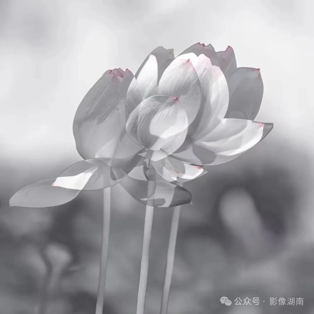 DƬ